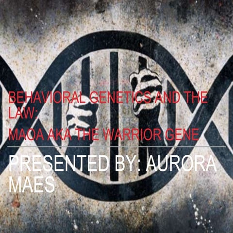 Aurora_Maes_BehavandLaw