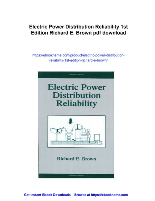 Electric Power Distribution Reliability 1st Edition Richard E