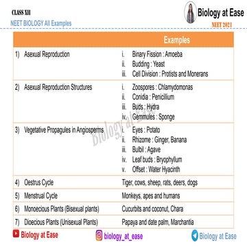 522427381- Neet-Biology-All-Examples.pdf