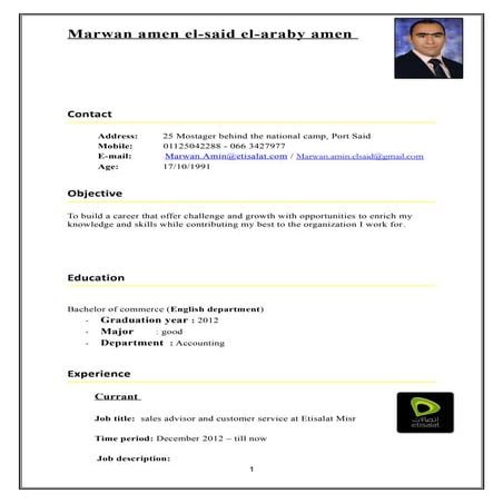 my CV | DOCX