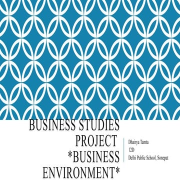 BSTPROJECTFORCLASS12ONBUSINESSENVIRONMENT.pptx