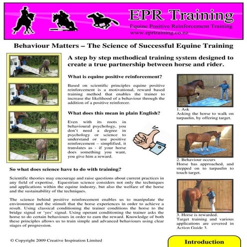 (Horse) Fall Safety Training- Reducing Injury Risk #horsesafety | PDF