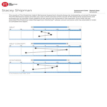 StaceyShipman-PIReport