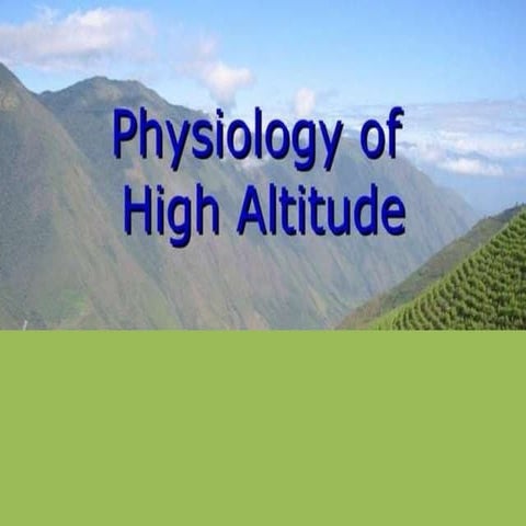 52cc5697-d574-4dc1-b8dd-1351d146dbd0.pptx