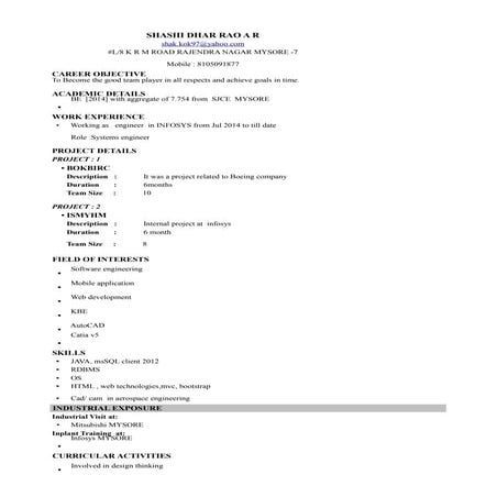 professional resume.1