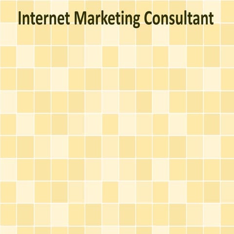 Internet Marketing Consultant