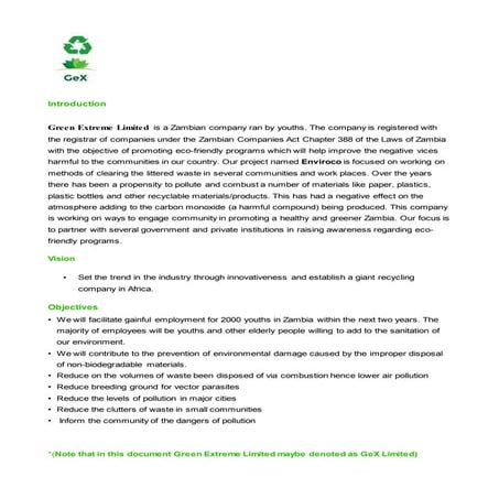 GeX Company Profile Word