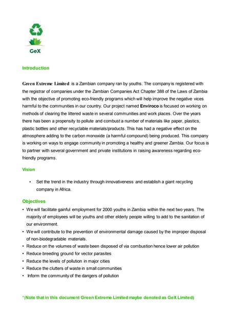 GeX Company Profile Word