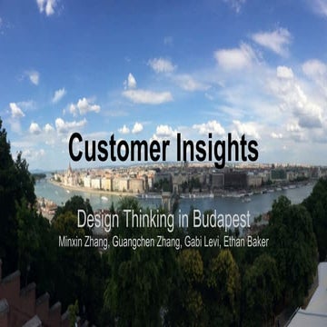 BUAD 451-Customer Insights Report