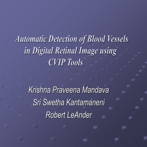 12539 Image Processing BV Extraction.ppt