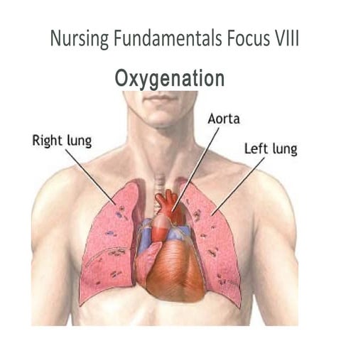 nursing - oxygenation