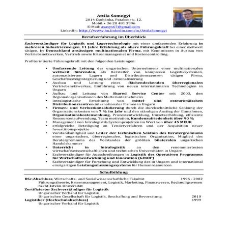 Somogyi Attila CV DE modern