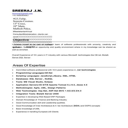 Sreeraj_Resume