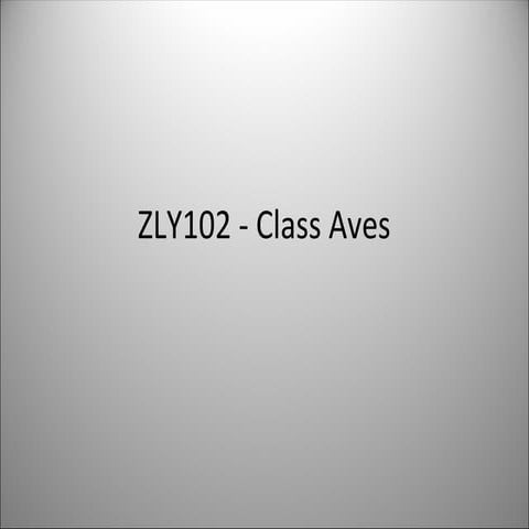 Classification of aves | PPTX