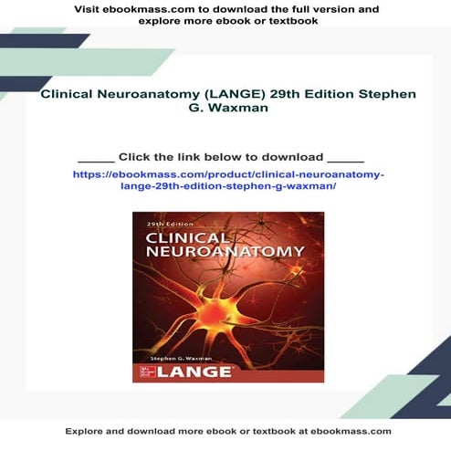 Clinical Neuroanatomy (LANGE) 29th Edition Stephen G. Waxman