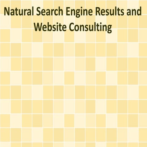 Natural Search Engine Results and Website Consulting
