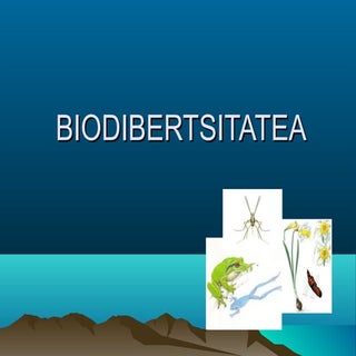 Biodibertsitatea