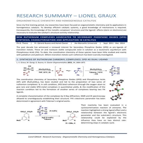 LGRAUX_Research summary
