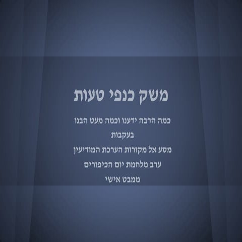 משק כנפי הטעות ממבט אישי -סופי 1