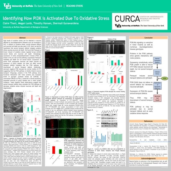 Claire Thant presentations