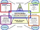 The Pro Widers Flyers