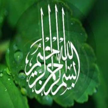 Ecological succession    slideshares 