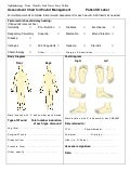 Wound Description Chart