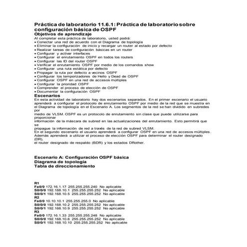 55784943 practicas-ospf