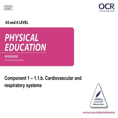 cardiovascular-and-respiratory-systems.ppt
