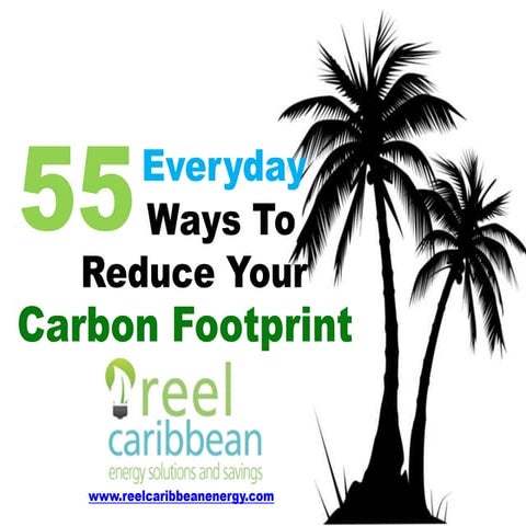 55 Everyday Ways To Reduce Your Carbon Footprint