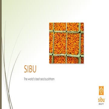 SIBU presentation for Linked IN