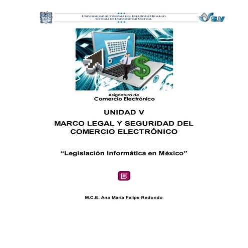 55 lec legislacion_informatica_en_mexico