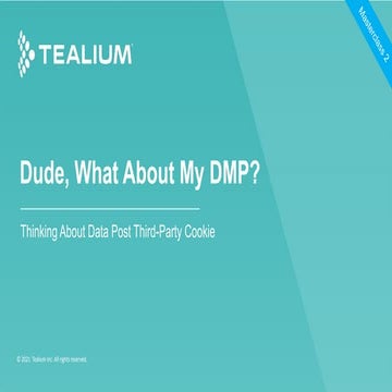 Third-Party Cookie Loss Masterclass 2: Dude, What About My DMP?