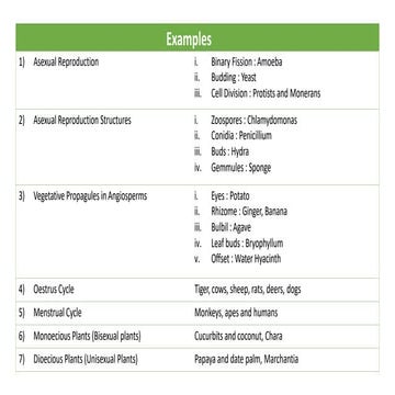Comprehensive Biology ( EXAMPLE ) Notes (NCERT)