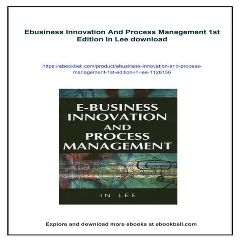 Ebusiness Innovation And Process Management 1st Edition In Lee