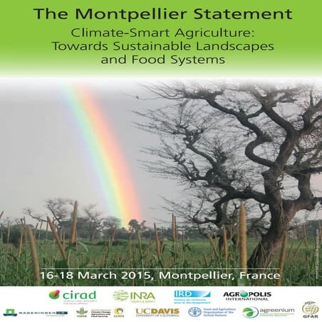 Montpellier Statement CSA 2015 comp