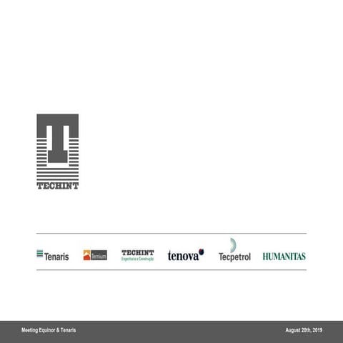 565292229-Tenaris-Presentation-Sinopec-Nov-2019-rev2.pptx