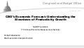 CBO’s Economic Forecast: Understanding the Slowdown of Productivity Growth