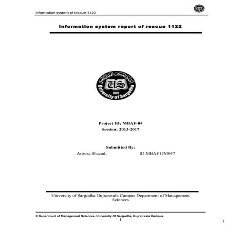 Information Systems Report