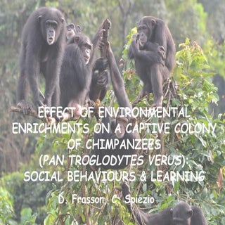 VI European Federation for Primatol...