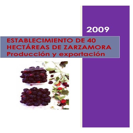 56830321 proyecto-zarzamora