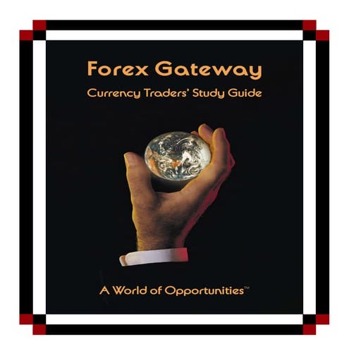 ForexGateway2a