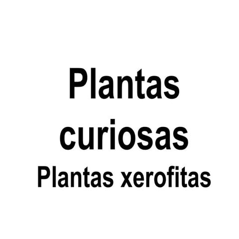 Plantas xerofitas