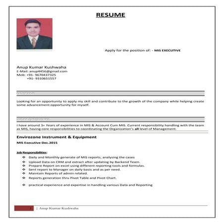 Resume for MIS Executive