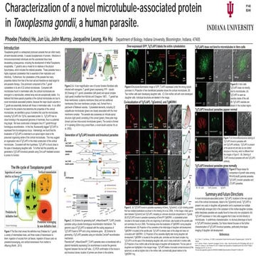 ASCB2014Phoebe_small