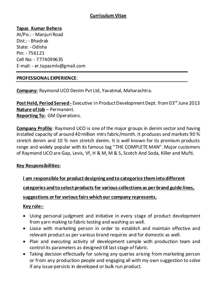 Resume summary examples image
