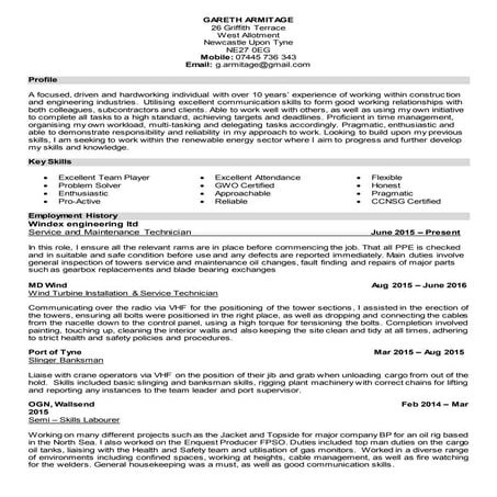Mark CV (2) | PDF