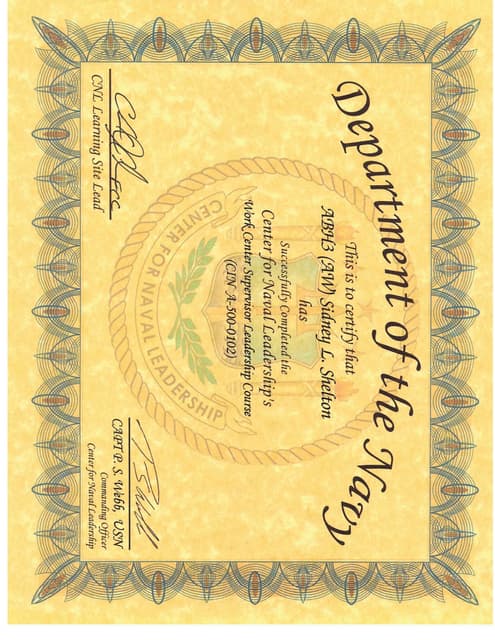 BSIS Guard Training Certificate (LQ) | PDF