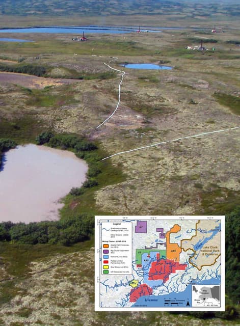 APS_Vol13-Issue2_48-53_Woody