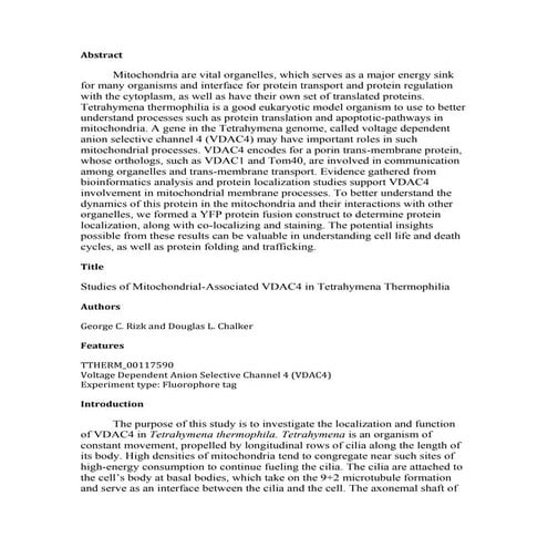 Research Project Report